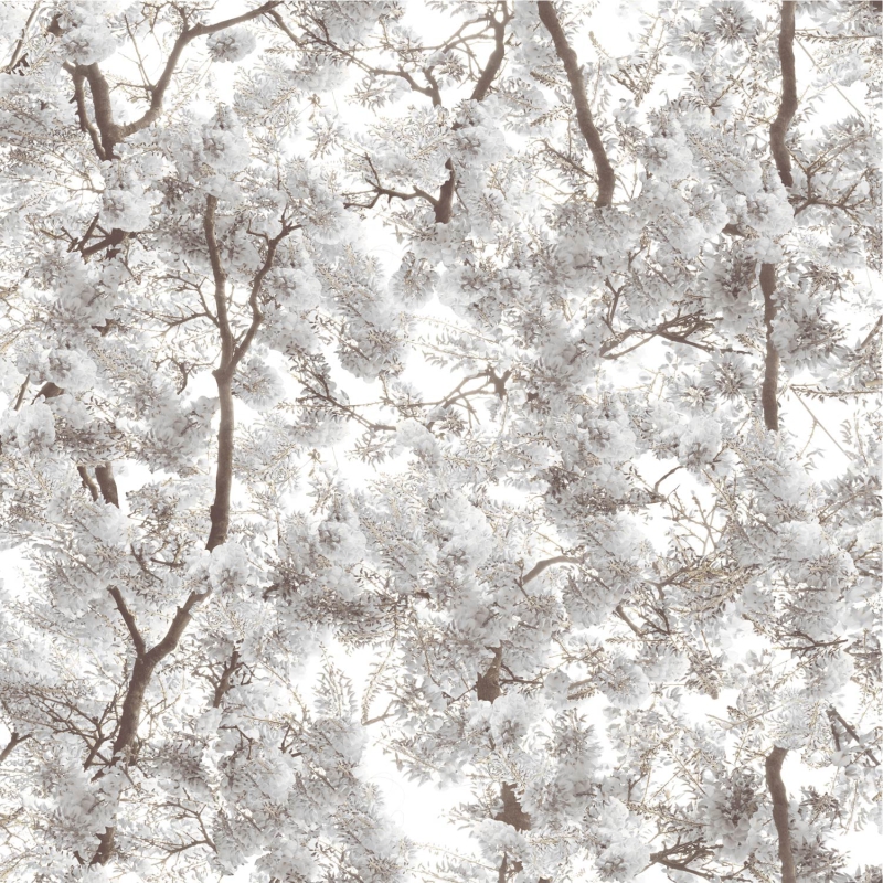 L 331-09 L 331-09 - Image 1