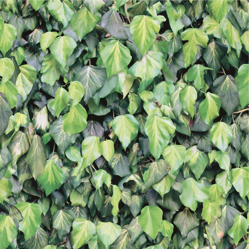 J 434-04 J 434-04 - Image 1
