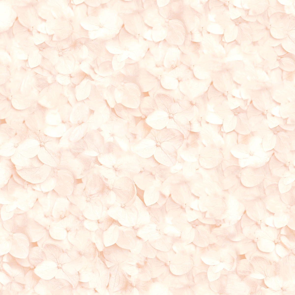 L 119-03-2 L 119-03 - Image 2