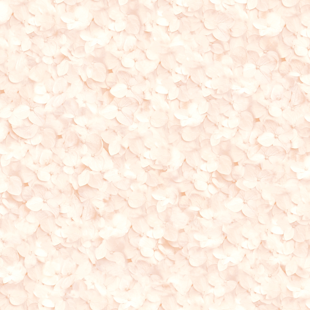 L 119-03 L 119-03 - Image 1