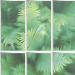 L 572-04 - Imagen 2