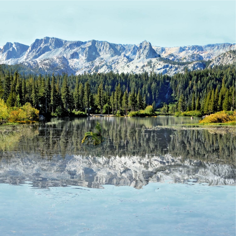 L 595-01 L 595-01 - Image 1