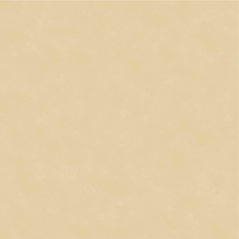 8699-GV 8699-GV - Imagen 1