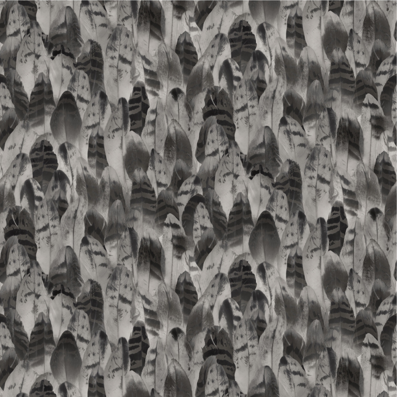 J 641-09 J 641-09 - Image 1