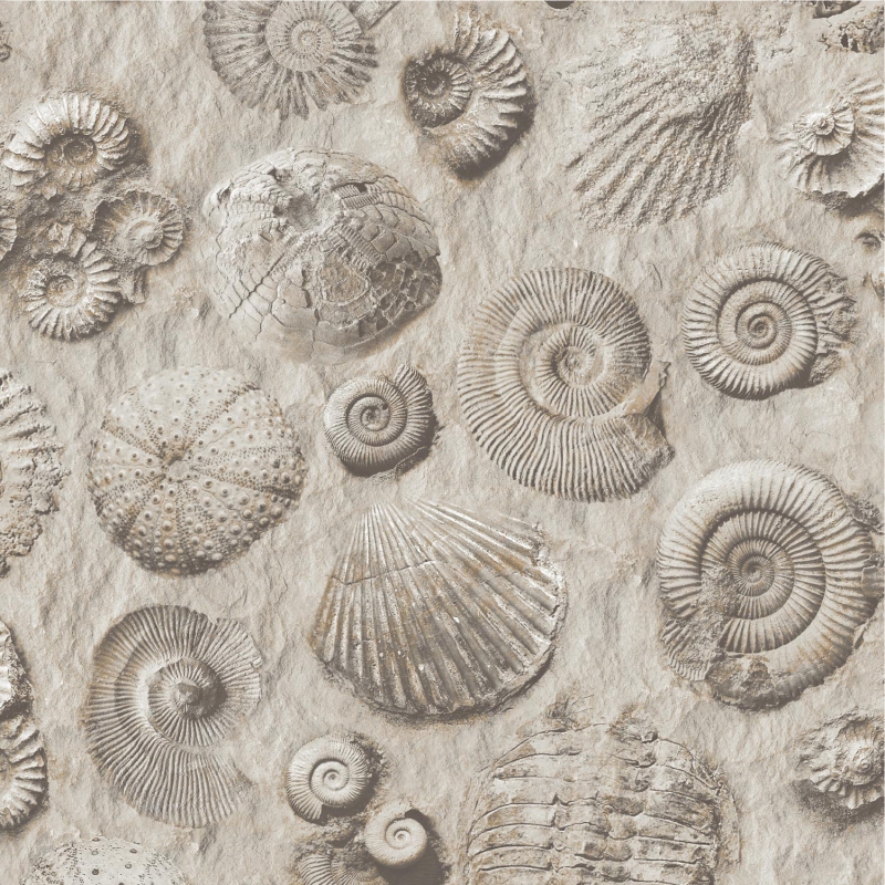 J 862-09 J 862-09 - Image 1