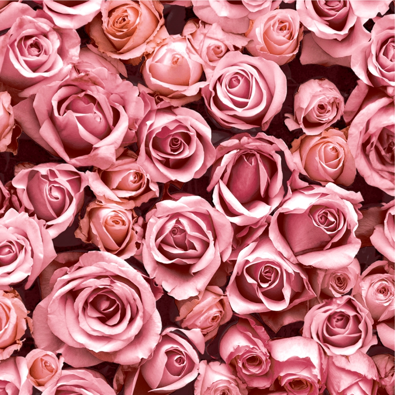 L 770-03-2 L 770-03 - Image 2