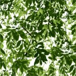 J 677-04 - Imagen 2
